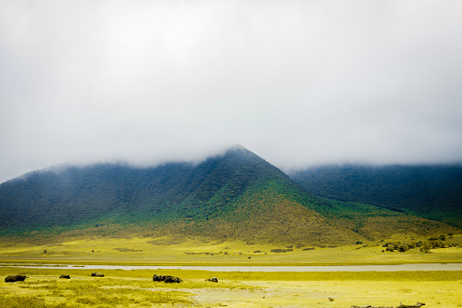 A Foggy Mountain in a safari game reserve in Ngorongoro Crater, Arusha