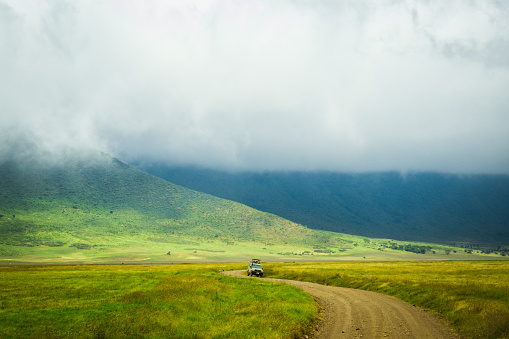 Safari Jeep on a trail in a conservation area