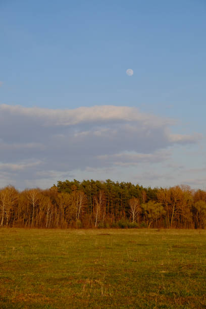 istock Cloudy evening sky over a beautiful autumn forest. Landscape. 1566891480