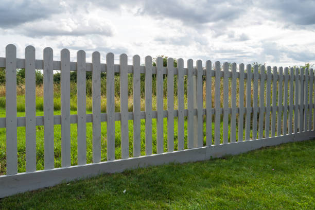 istock Newly painted wooden picket fence. 1566894672
