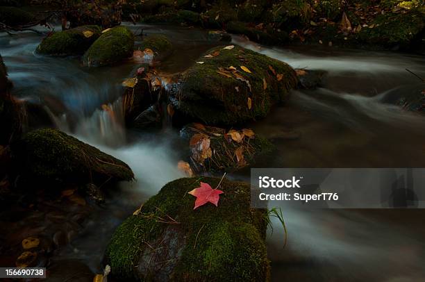 Catarata De Folha Vermelha Em Catarata De Grotto - Fotografias de stock e mais imagens de Ao Ar Livre - Ao Ar Livre, Appalachia, Caminho Natural de Roaring Fork Motor