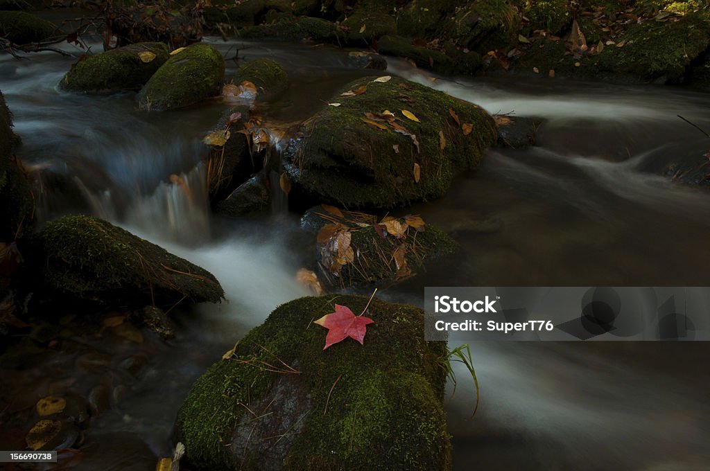 Красный лист Водопад на Водопад Гротто - Стоковые фото Gatlinburg роялти-фри