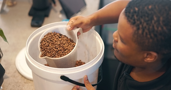 Coffee beans, roast and industry with a black man in a factory for the manufacturing of a caffeine product. Warehouse, industrial and production with a male employee working in a plant closeup