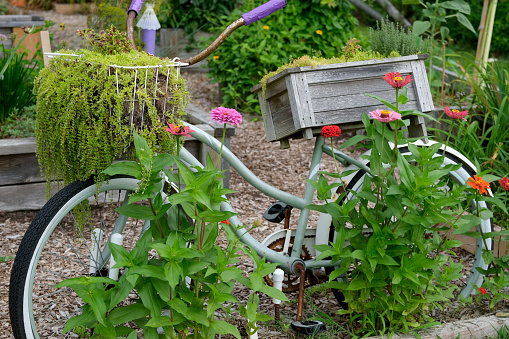 Summer garden with bicycle