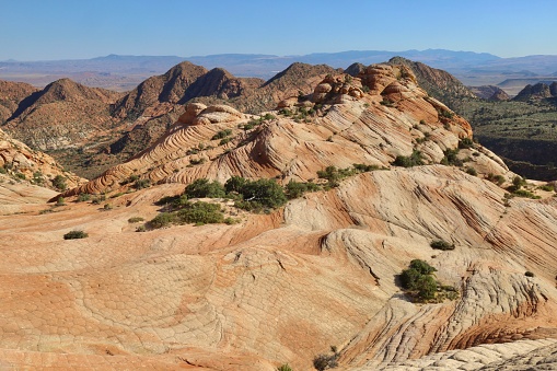 Yant Flat(Candy Cliffs) - Utah