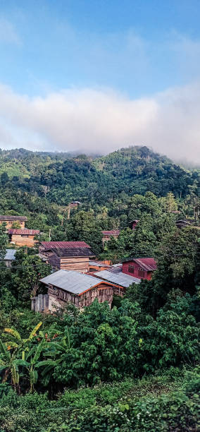 istock village in the forest 1566943912