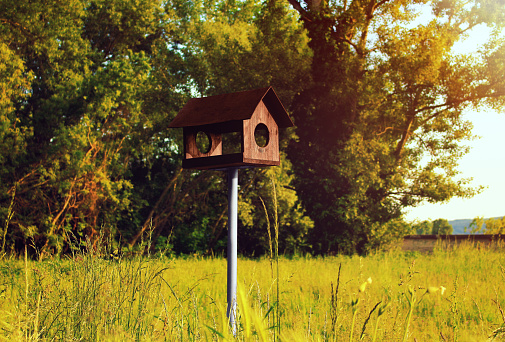 Birdhouse in public park, outdoors, nature, environment