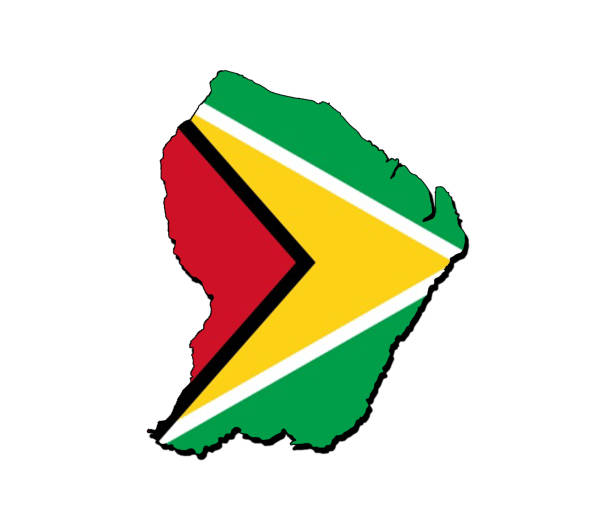istock Silhouette of the map of Guyana with its flag 1566956342