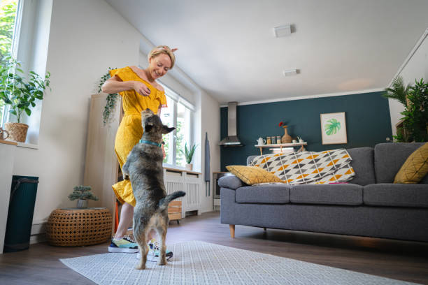 istock Caucasian woman train her mixed-breed dog while playing with him 1566960132