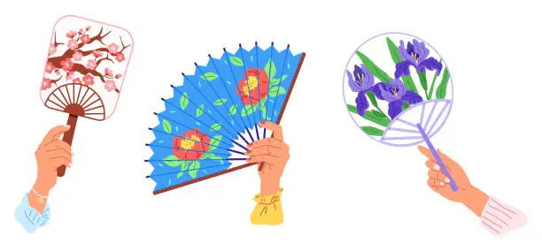 Vector illustration of Chenese and Japanese hand fan. A hand fan, modest tool singing cool melody A Japanese fan, kaleidoscope of culture