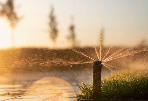 Automatic irrigation system spraying water on lawns to nourish the grass Automatic irrigation system spraying water on lawns to nourish the grass during sunset, with bright sunshine. nourish stock pictures, royalty-free photos & images
