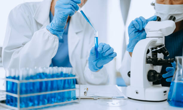 istock Scientist team meeting and writing analysis results in the laboratory study and analyze scientific sample for global warming, analytics and tech. 1566990443