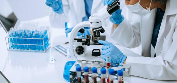 istock Scientist team meeting and writing analysis results in the laboratory study and analyze scientific sample for global warming, analytics and tech. 1566990953