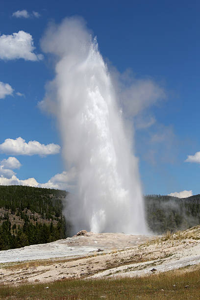 gêiser old faithful no parque nacional de yellowstone - reliability old old faithful famous place - fotografias e filmes do acervo