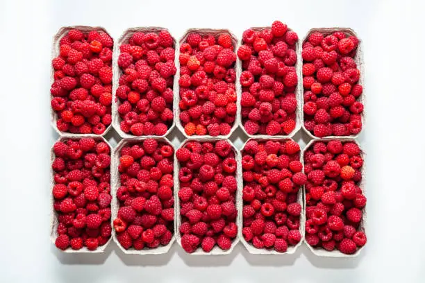 Photo of Fresh picked organic raspberries in baskets on white