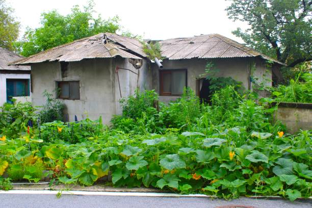 istock Overgrown Garden House 1567001715