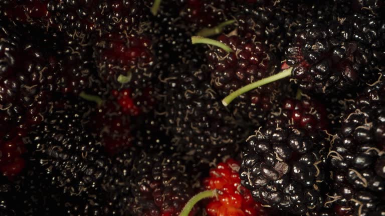 black mulberry berries. View from above. Macro zoom. Slider