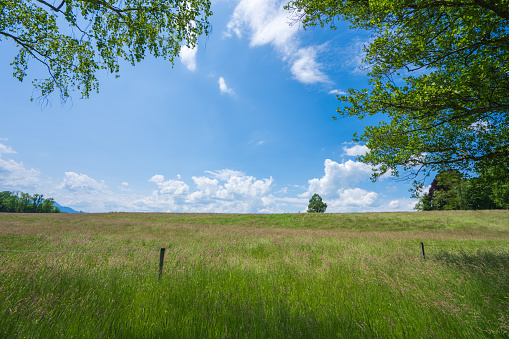 Under the blue sky and white clouds, there is a green meadow. Schloss Herrenchiemsee is located on the castle island of Chiemsee, Germany.