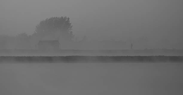 pescador - foto de stock