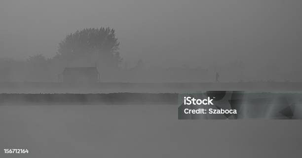 漁師 - かすみのストックフォトや画像を多数ご用意 - かすみ, 写真, 冷たい