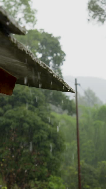 Rain falling from roof of old house against trees and plants during monsoon