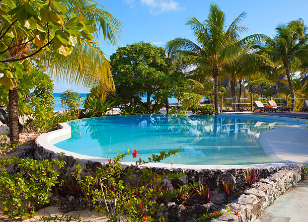 istock Pool in tropical garden 156713865