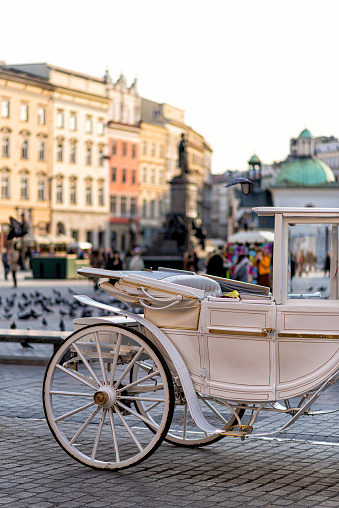 horses with a carriage on the main square of Krakow in Poland