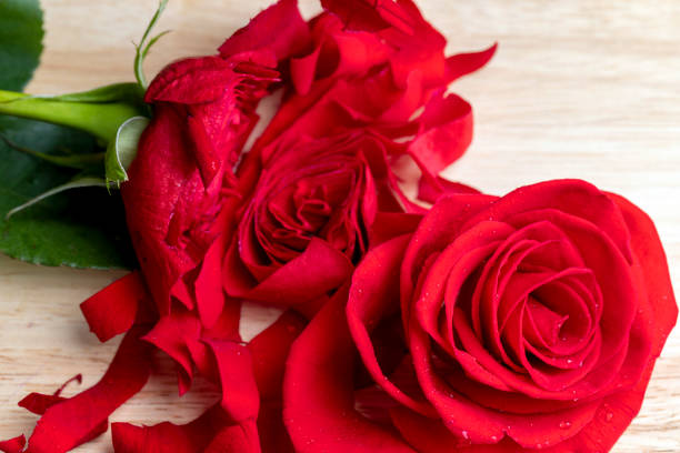 istock A beautiful red rose cut into pieces 1567152372