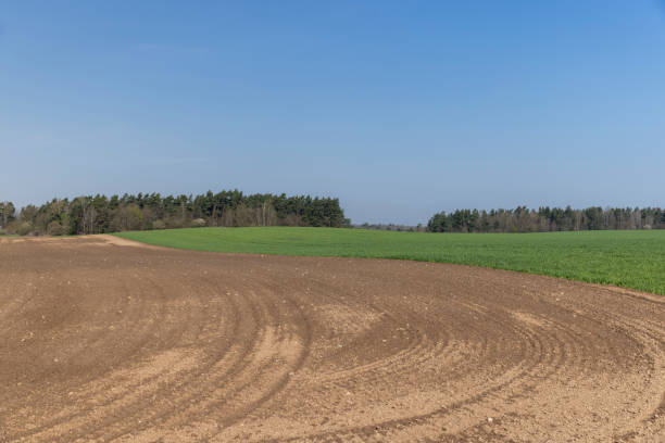 istock the plowed soil during preparation for sowing agricultural plants 1567153459