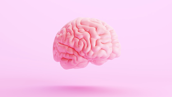 Pink brain anatomy mind intelligence medical organ science pink background quarter view 3d illustration render digital rendering