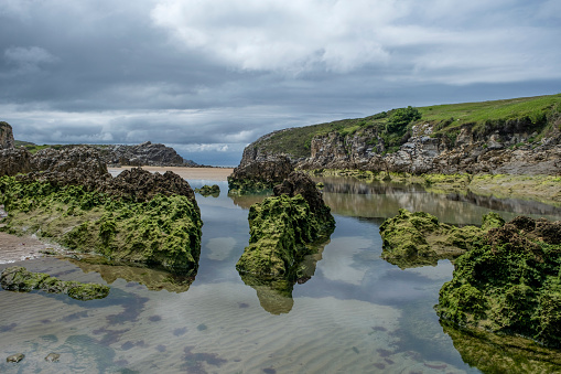 Beach with sedimentary rocks covered by green moss in Playa Virgen del Mar, Costa Quebrada, Cantabria, Spain