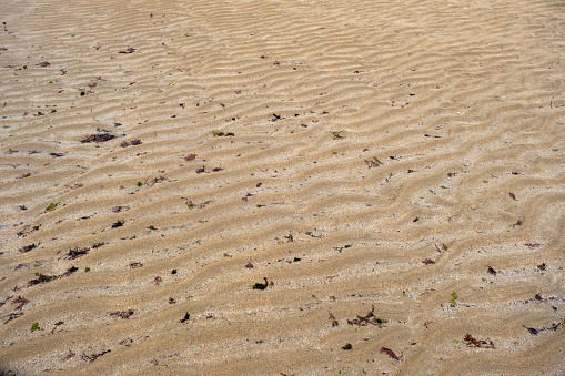 Wavy patterns of sand ripples and small seaweeds washed up in the beach