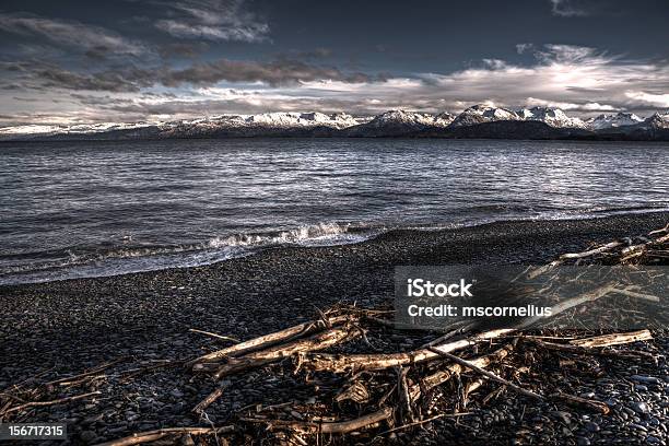 Driftwood No Lands End - Fotografias de stock e mais imagens de Alasca - Alasca, Anoitecer, Ao Ar Livre