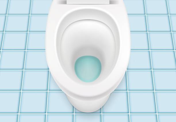istock Toilet bowl with open cover top view over ceramic tile floor 1567180225