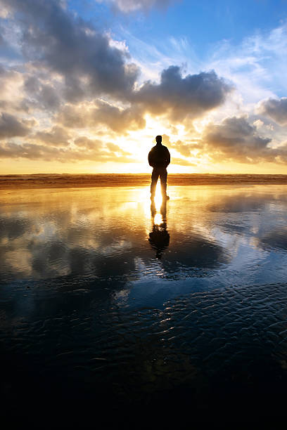 xxl solitude silhouette de la plage - beach ideas photos et images de collection