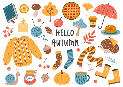 Autumn icons set. Sweater, pumpkin, socks, mushroom, hedgehog, leaves, snail, coffee, knitting, scarf, candle, book, umbrella, acorn, pie, cup, cinnamon bun. Fall design elements. Vector illustration.