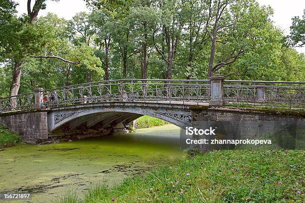 Puente Tsarskoye Selo Foto de stock y más banco de imágenes de Aire libre - Aire libre, Arquitectura, Bosque