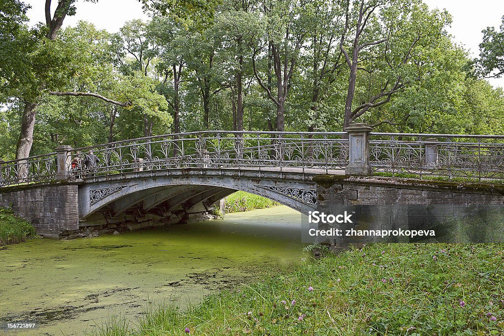 A Tsarskoye Selo Ponte - Royalty-free Ao Ar Livre Foto de stock