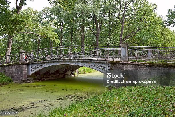 A Tsarskoye Selo Ponte - Fotografias de stock e mais imagens de Ao Ar Livre - Ao Ar Livre, Arquitetura, Canal - Mar