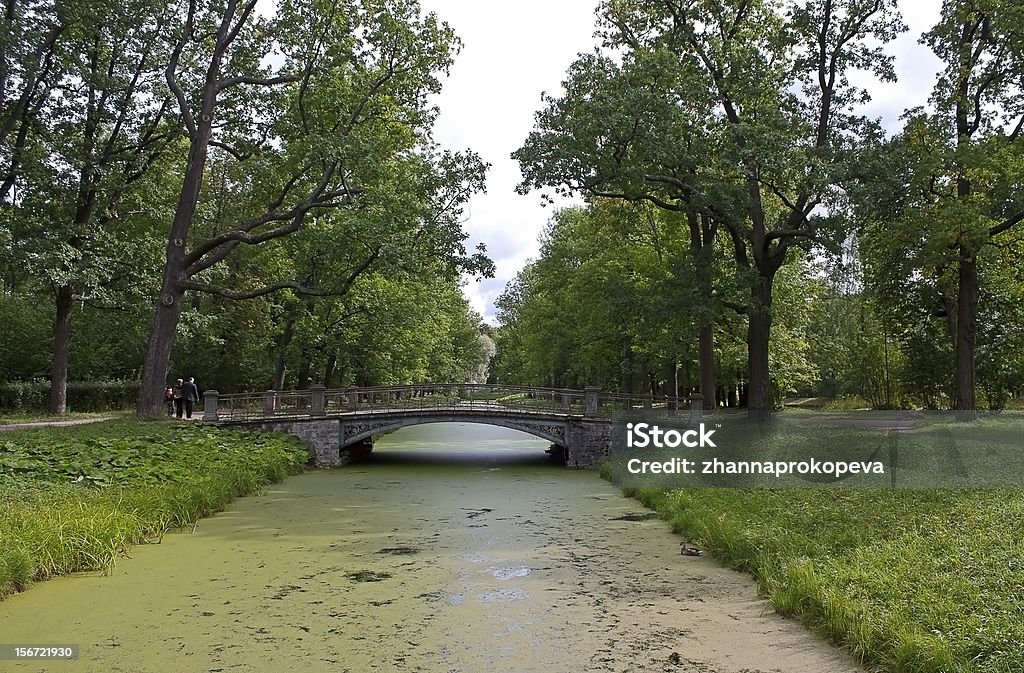 Brücke in Tsarskoye "Selo - Lizenzfrei Architektur Stock-Foto