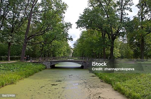 Brücke In Tsarskoye Selo Stockfoto und mehr Bilder von Architektur - Architektur, Baum, Brücke