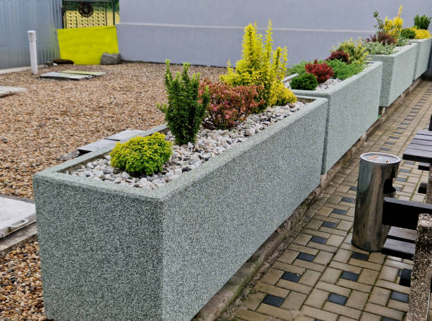 sitting on the terrace of the restaurant with large concrete flower pots planted with dwarf bushes of bright pastel colors of leaves. a cheerful and bright appearance at school or kindergarten in row - usa restaurant flower bed beauty in nature imagens e fotografias de stock