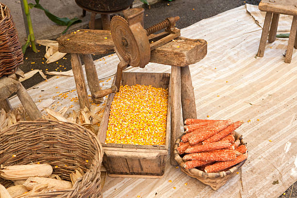 Antique hand operated corn sheller mounted to a seat. Left to right you see the original corn knobs in a eicker basket, the removed corn and the empty cobs.