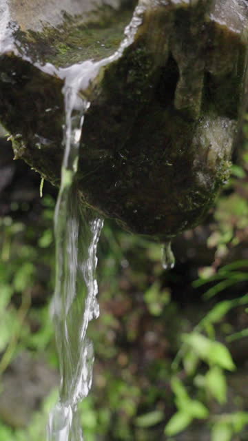 Close-up of rain water falling from rock in forest during monsoon