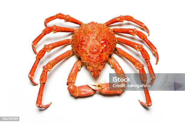 Photo libre de droit de Kingcrab banque d'images et plus d'images libres de droit de Crabe royal de l'Alaska - Crabe royal de l'Alaska, Crabe, Horizontal