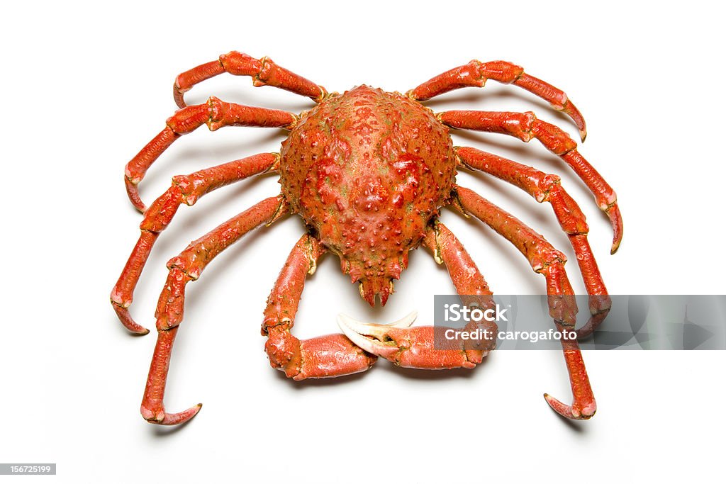 Kingcrab - Royalty-free Caranguejo real do Alasca Foto de stock