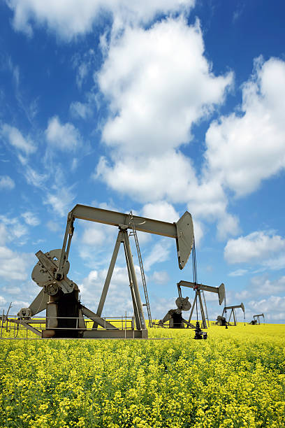 pumpjacks xxxl prairie - prairie agriculture cloud cloudscape - fotografias e filmes do acervo