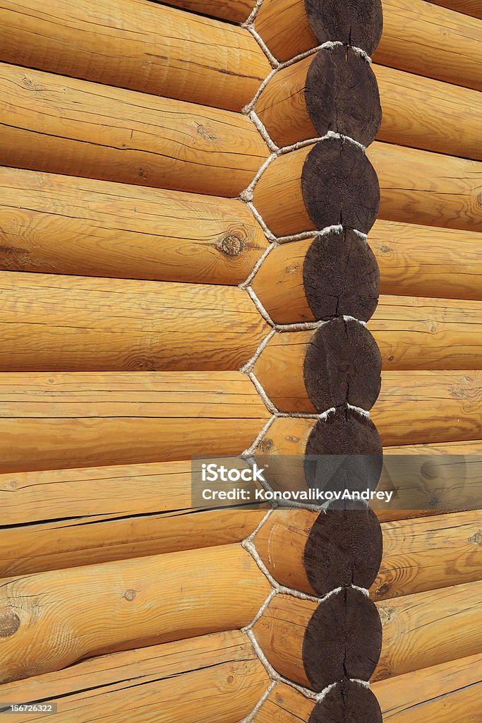 Log in legno - Foto stock royalty-free di Ambientazione esterna