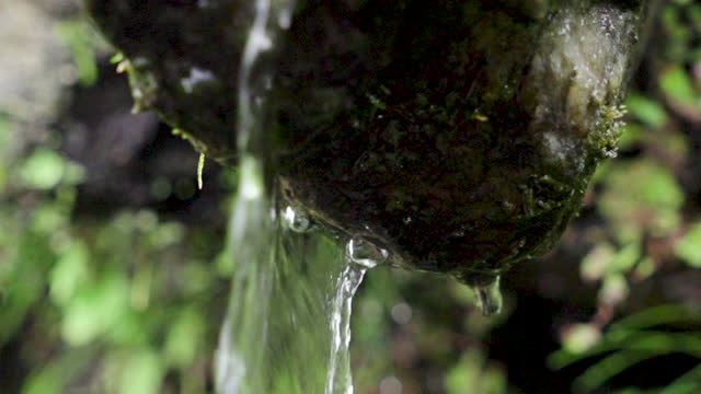 Close-up of rain water falling from rock in forest during monsoon