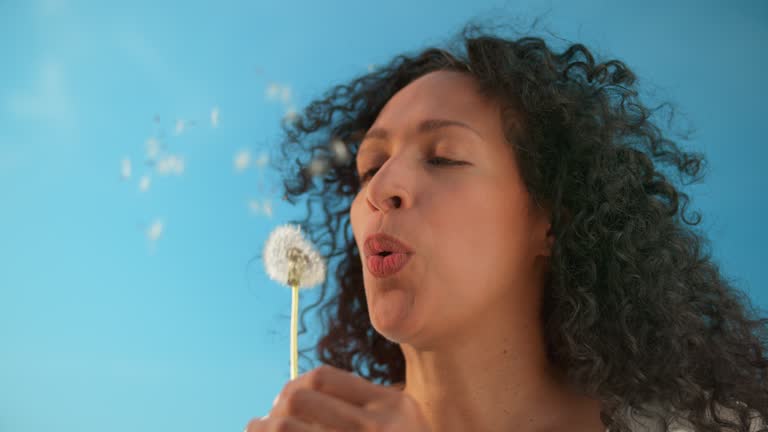 SLO MO LD Woman blowing away the dandelion seeds in sunshine